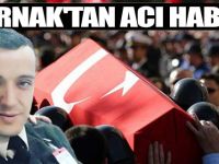 Şırnak'tan Acı Haber! 1 Asker Şehit