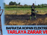 Elektrik Direğinden Kopan Kablo Tarlaya Zarar Verdi