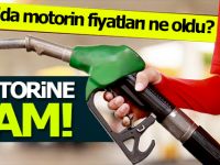 Motorine Zam!