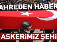Acı Haber 1 Şehit, 3 Yaralı