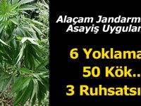 Alaçam Jandarma'dan Asayiş Uygulaması
