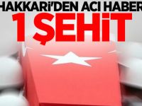 Hakkari'den Acı Haber 1 Asker Şehit Oldu
