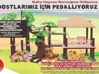 Sokak Hayvanları İçin Pedal Çevirecekler