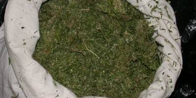 BAFRA'DA YİNE ESRAR ELE GEÇİRİLDİ