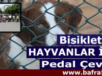 Bisikletliler Hayvanlar İçin Pedal Çevirdi