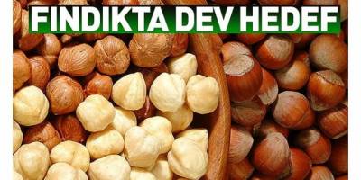 Fındıkta dev ihracat hedefi