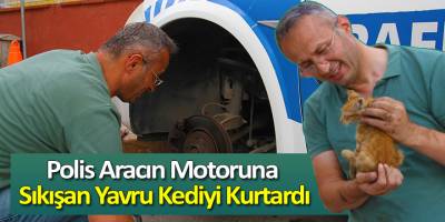 Polis Aracının Motoruna Sıkışan Yavru Kediyi Kurtardı