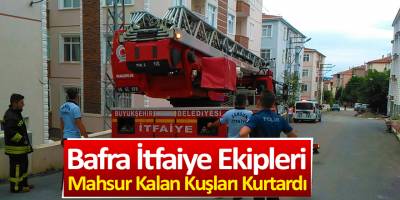 Bafra İtfaiye Ekipleri Mahsur Kalan Kuşları Kurtardı