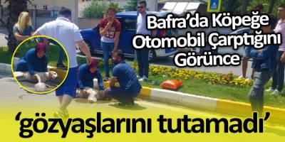 Bafra’da Köpeğe Otomobil Çarptığını Görünce Gözyaşlarını Tutamadı