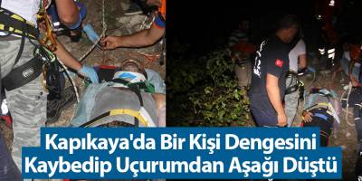 Kapıkaya'da bir Kişi Dengesini Kaybedip Uçurumdan Aşağı Düştü