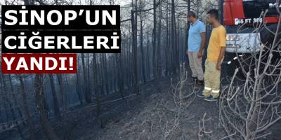 Sinop’un Ciğerleri Yandı!