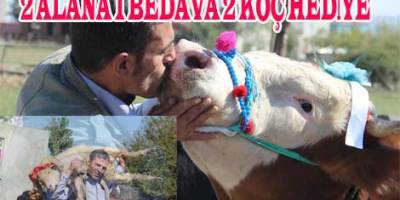 İKİ BOĞA ALANA BİR BOĞA İLE ÜÇ KOÇ HEDİYE