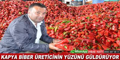 Bafra'da Kırmızı Biber Yüz Güldürüyor