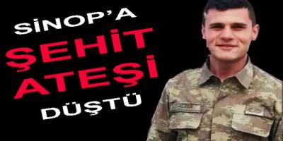 Durağanlı Asker Hakkari'de Şehit Düştü