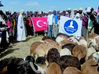 KURBANLARINIZ YOKSULLARIN BAYRAMI OLSUN