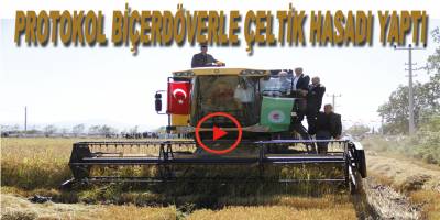Protokol biçerdöverle çeltik hasadı yaptı
