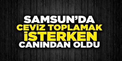 Ceviz toplamak isterken canından oldu