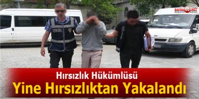 YİNE HIRSIZLIK SUÇUNDAN GÖZALTINA ALINDI