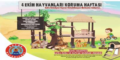 Bafra Hayvan Hakları Koruma Gününe Farklı Hazırlanıyor