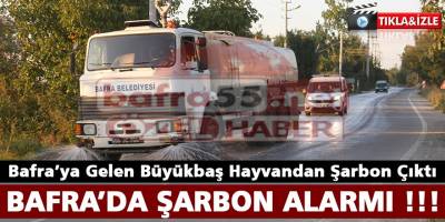 Bafra'da Şarbon Alarmı!