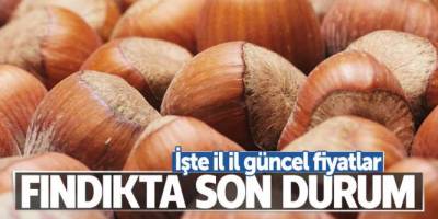 Fındık fiyatları yükseldi, işte il il fındık fiyatları