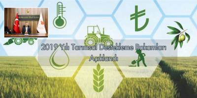 2019 Yılı Tarımsal Destekleme Rakamları Açıklandı