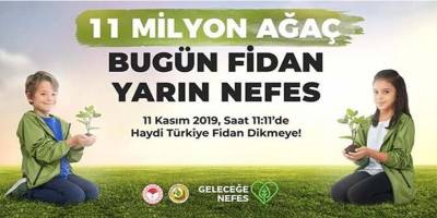 BAFRA 11 MİLYON AĞAÇ İÇİN BULUŞUYOR