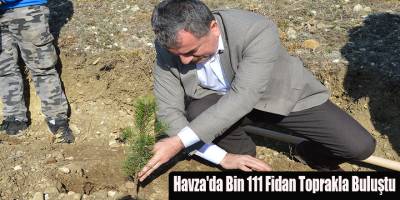 Havza'da Bin 111 Fidan Toprakla Buluştu