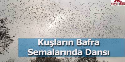 Sonbahar Göçü Devam Ediyor