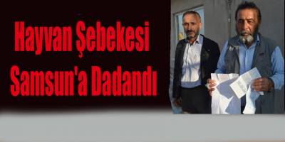Hayvan Şebekesi Samsun'a Dadandı