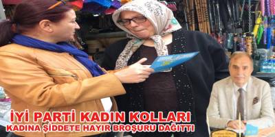 İYİ Parti kadına Şiddete Hayır Broşuru Dağıttı