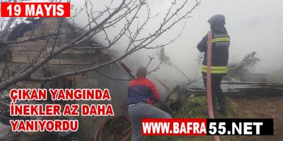 19 Mayıs'ta Çıkan yangında Bir Ahır Kül Oldu