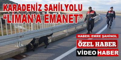 Karadeniz Sahil Yolu "Liman'a Emanet"
