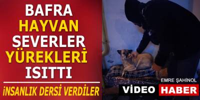 Karda Sokakta Kalan Hayvanlara Yem Verdiler