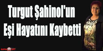 Turgut Şahinol'un Eşi Hayatını kaybetti