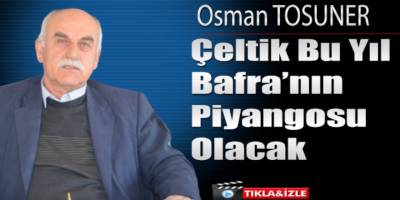 ÇELTİK BU YIL BAFRA'NIN PİYANGOSU OLACAK