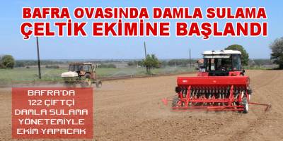 Bafra'da Damla Sulama Çeltik Ekimine Başlandı
