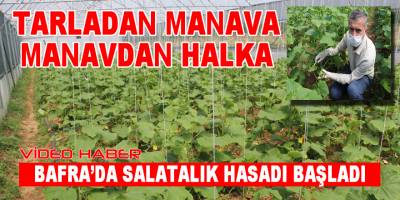 Tarladan Manava, Manavdan halka taze ürünler.