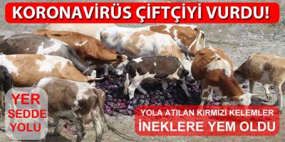 Kışlık sebze fiyatları üreticinin yüzünü güldürmedi