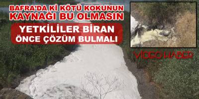 Bafra'da ki Kötü Kokunun Sebebi Bu Olmasın