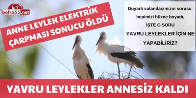 Anne Leylek Elektrik Çarpması Sonucu Öldü