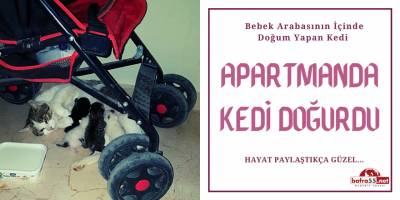HAYAT PAYLAŞTIKÇA GÜZEL..
