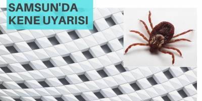 Samsun'da Kene Uyarısı