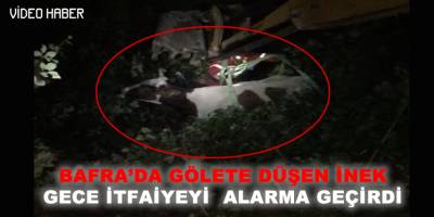Gölete Düşen İnek İçin Arama Kurtarma Ekibi Çıktı