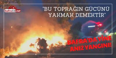 Türbe'de Anız Yangını