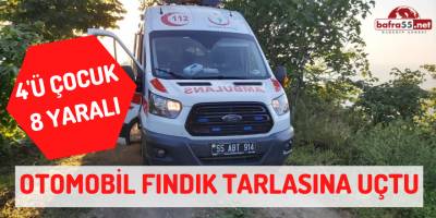 Samsun'da Otomobil Fındık Tarlasına Uçtu!