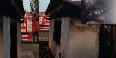 Ahırda Çıkan Yangında 3 Hayvan Telef Oldu