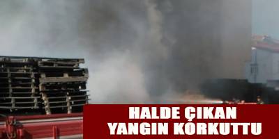 BAFRA HALİNDE ÇIKAN YANGIN KORKUTTU