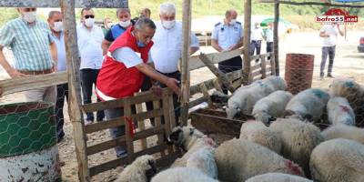 Kurbanlık Alırken Dikkat!