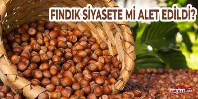 Fındık Siyasete mi Alet Edildi ?